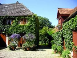 The courtyard